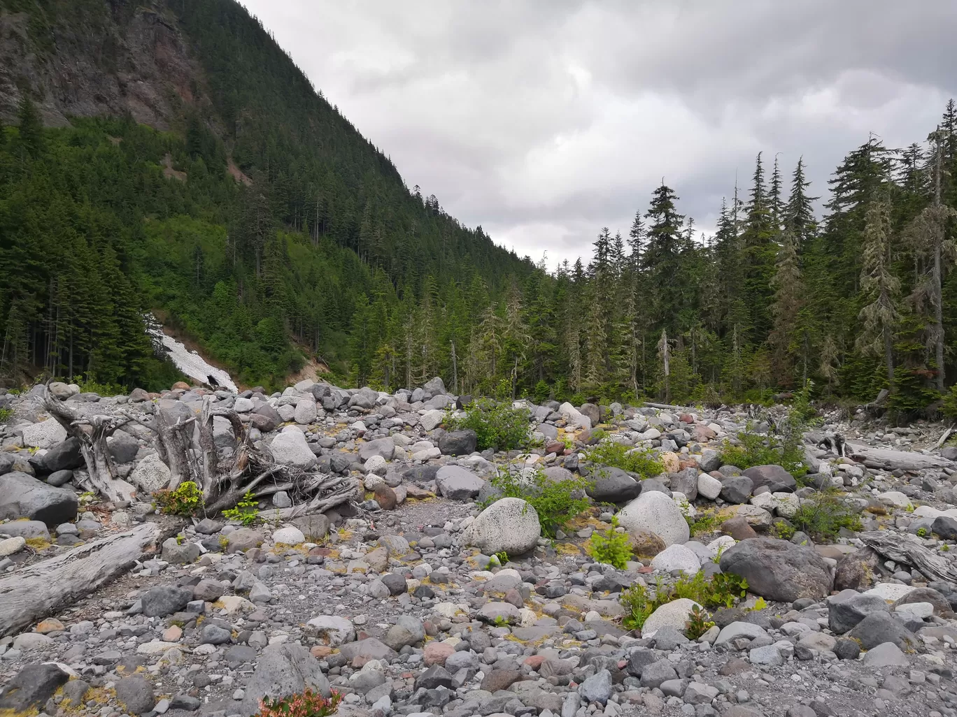 Photo of Mount Rainier National Park By Vikas Chandra