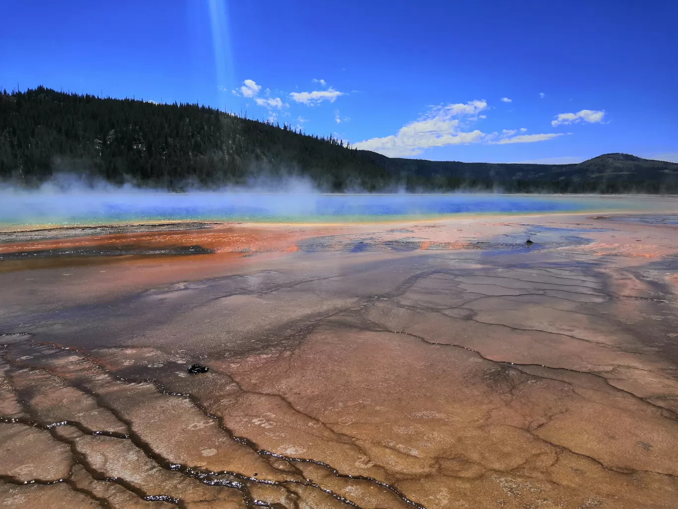 Photo of Yellowstone National Park By Vikas Chandra