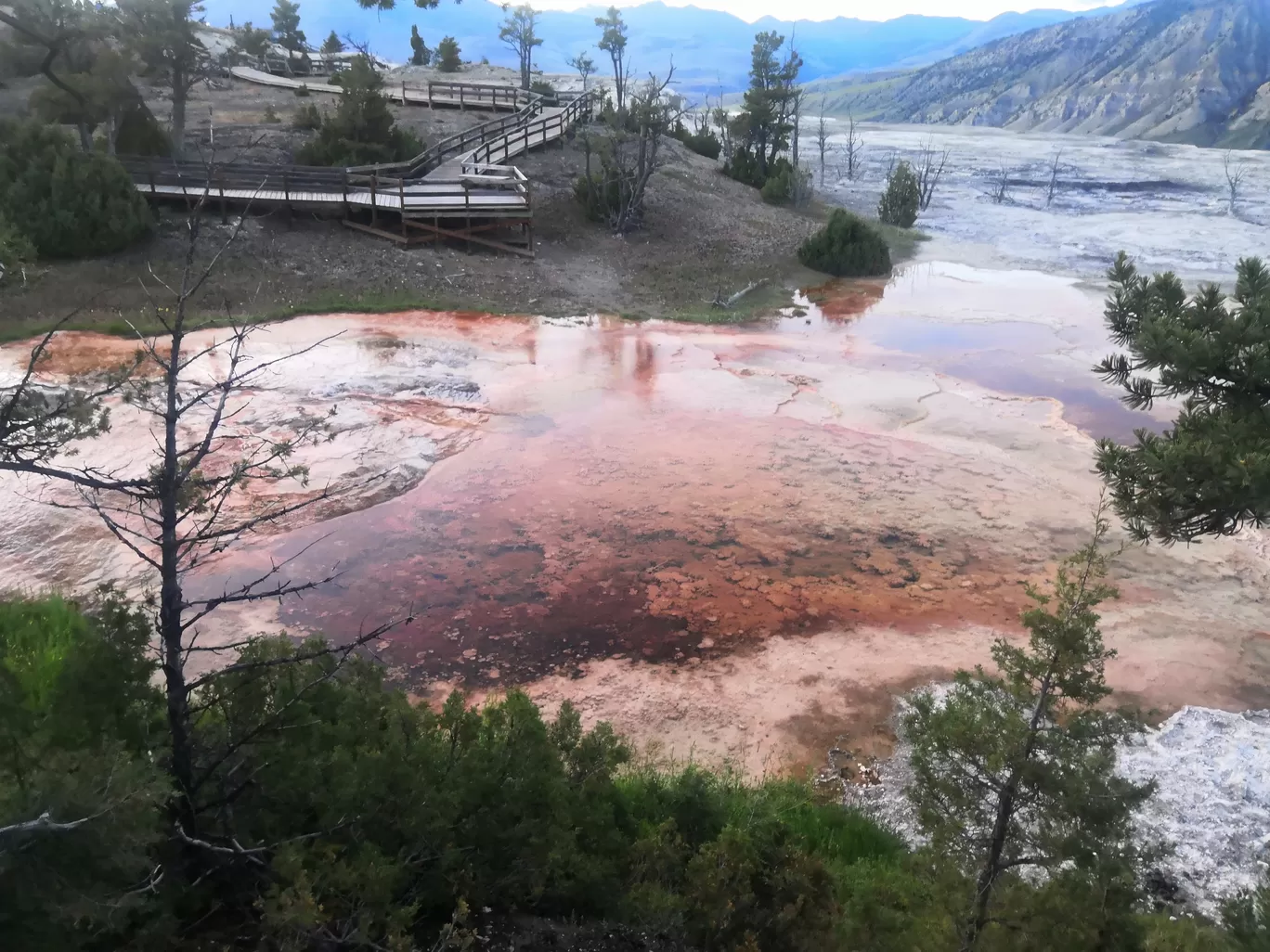 Photo of Yellowstone National Park By Vikas Chandra