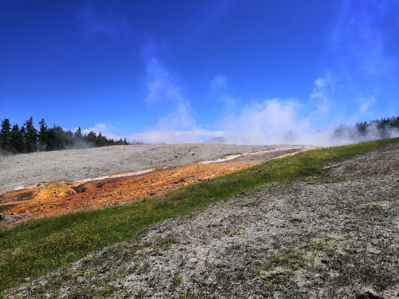 Photo of Yellowstone National Park By Vikas Chandra
