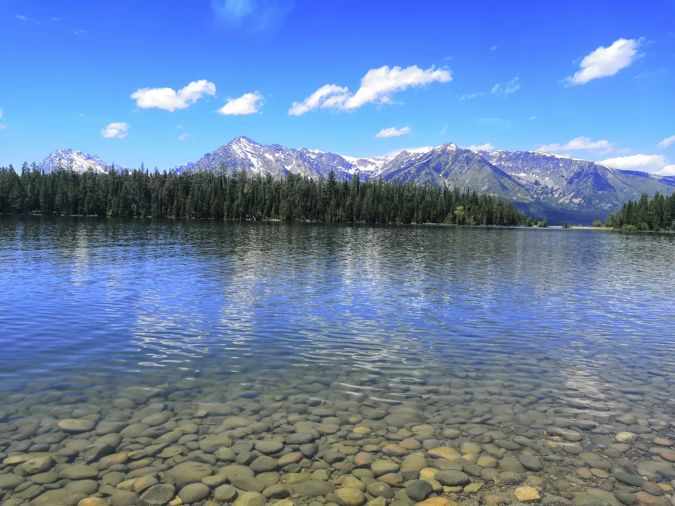 Photo of Grand Teton National Park By Vikas Chandra