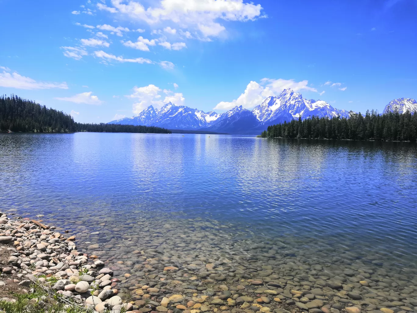 Photo of Grand Teton National Park By Vikas Chandra