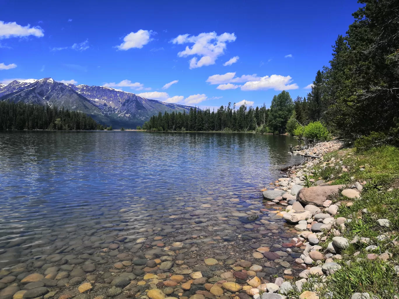 Photo of Grand Teton National Park By Vikas Chandra