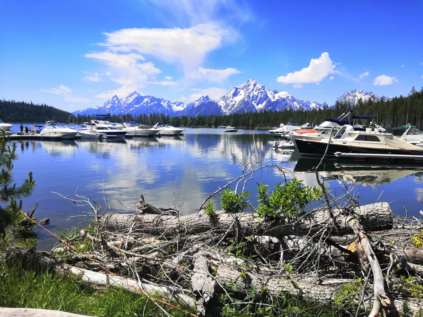 Photo of Grand Teton National Park By Vikas Chandra