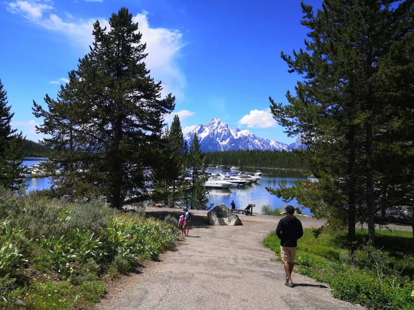 Photo of Grand Teton National Park By Vikas Chandra