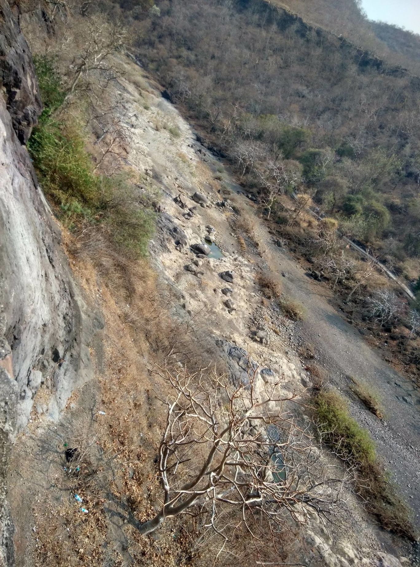 Photo of Ajanta Caves By Vikas Chandra