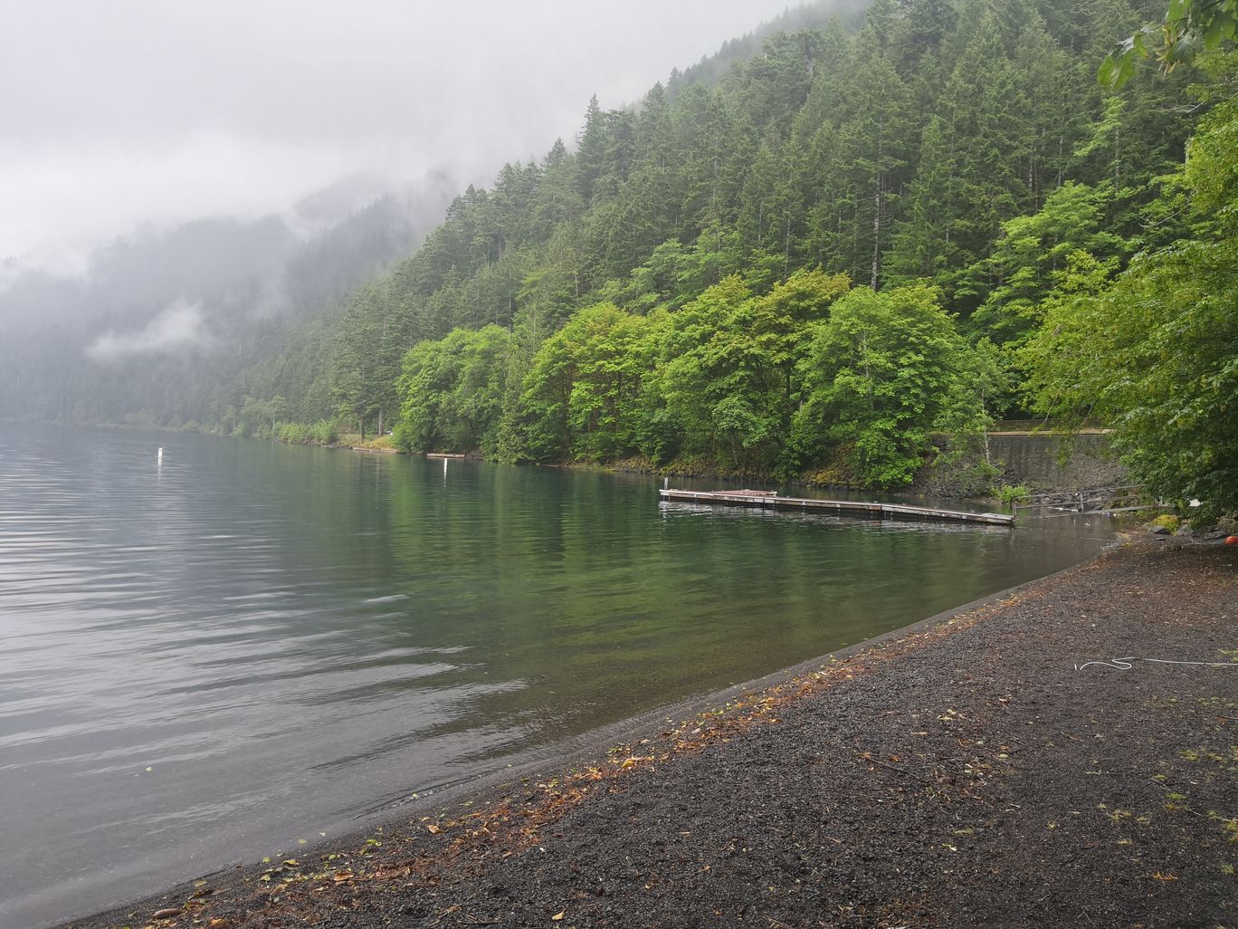 Photo of Olympic National Park By Vikas Chandra
