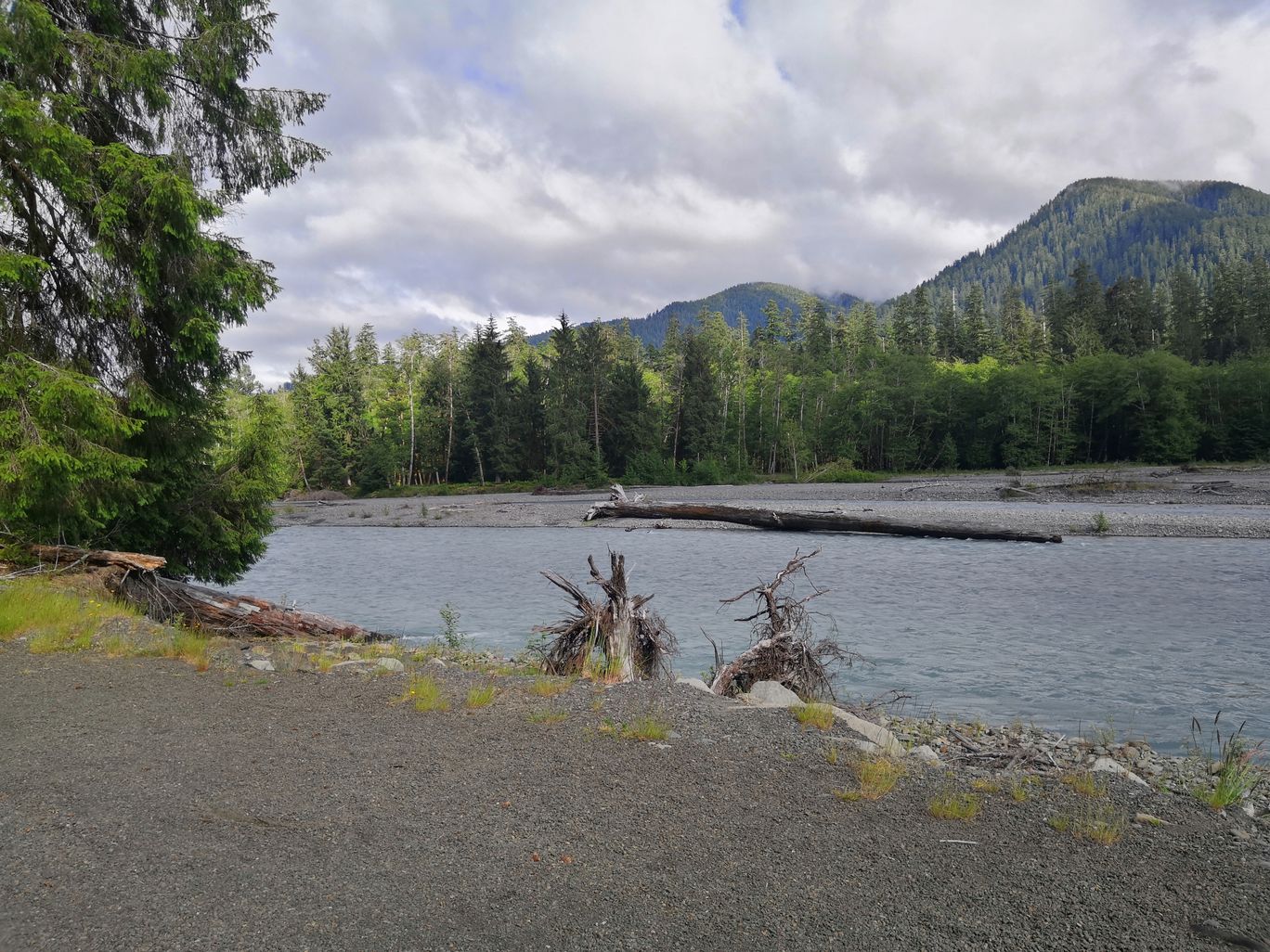 Photo of Olympic National Park By Vikas Chandra