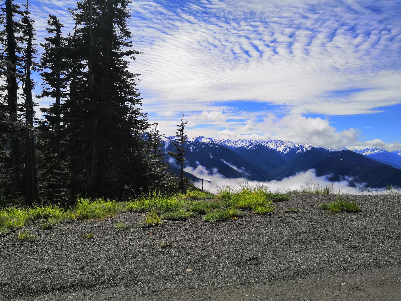Photo of Olympic National Park By Vikas Chandra