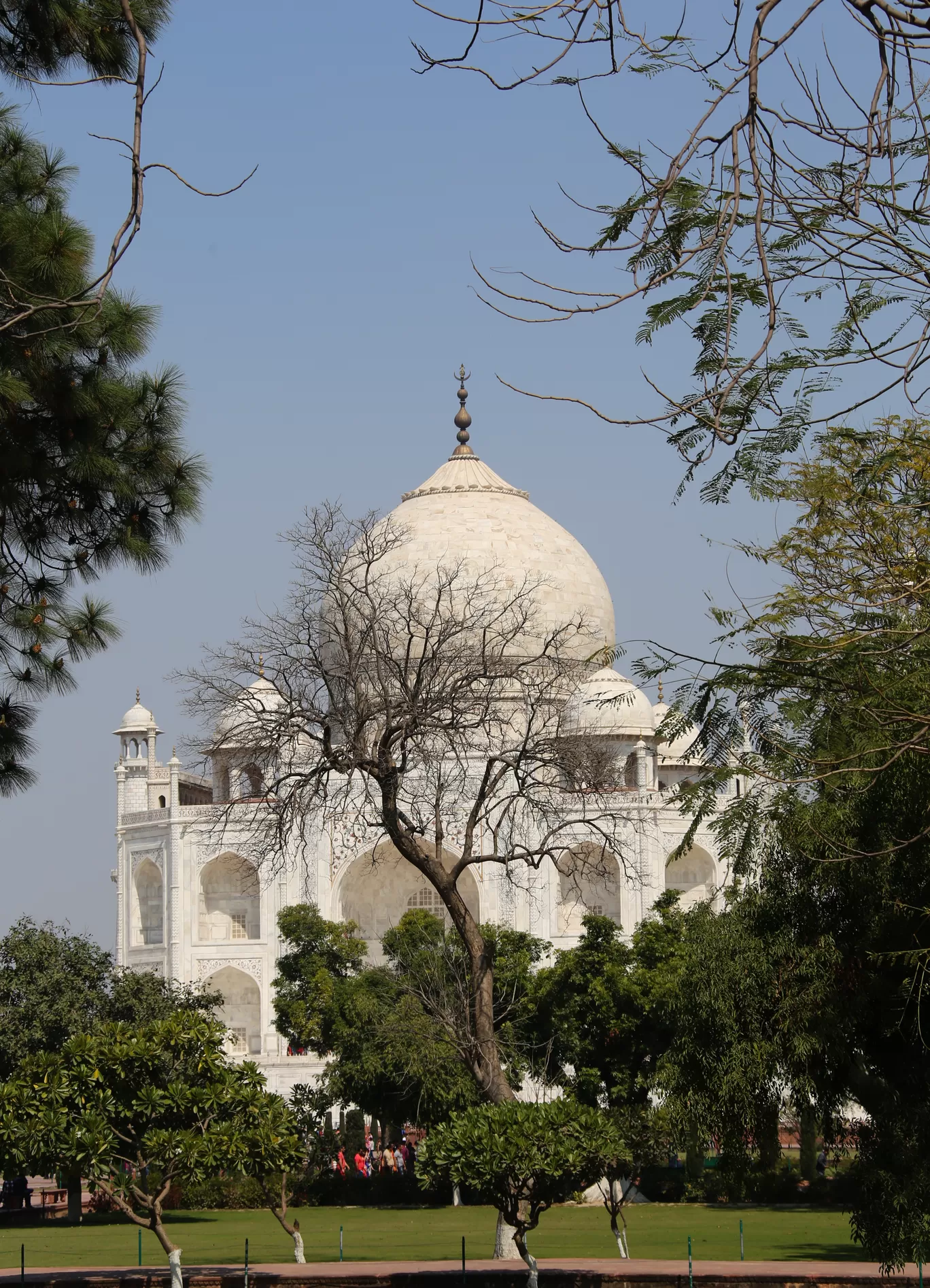 Photo of Taj Mahal By Uddhava Dasa