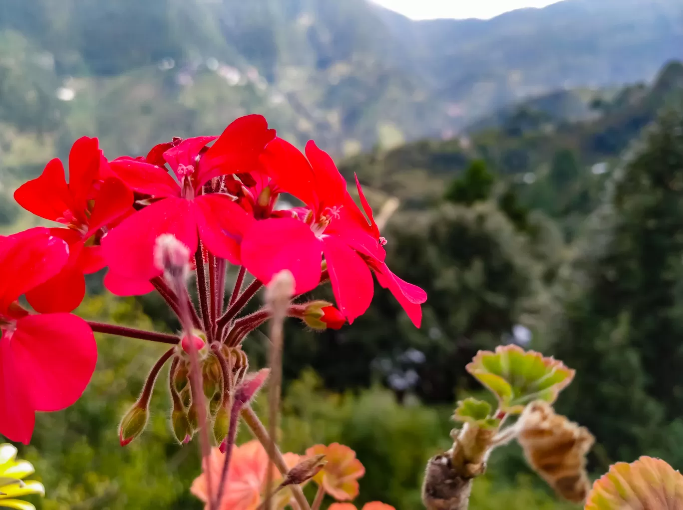 Photo of Nainital By Abhinaw Chauhan