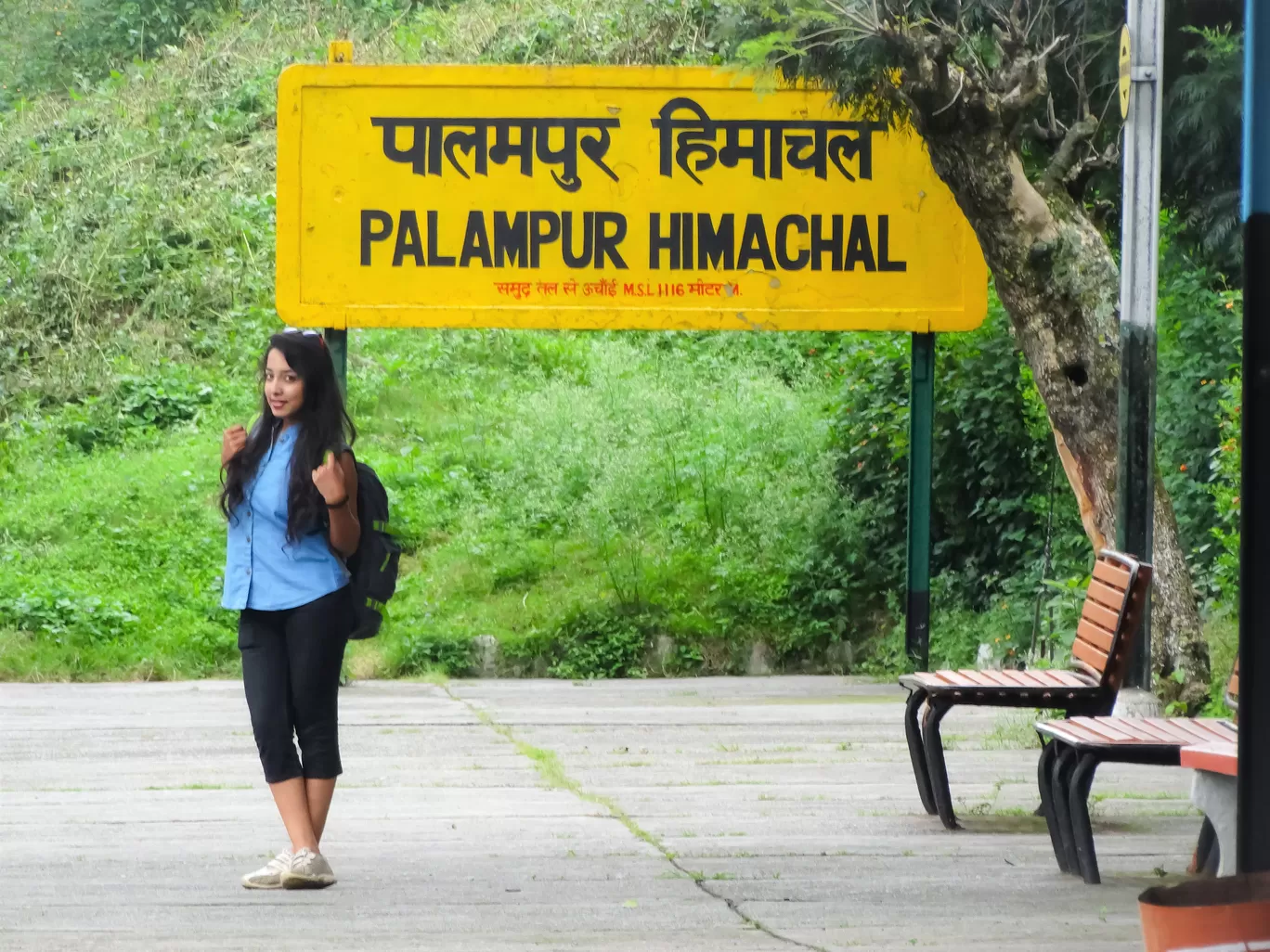 Photo of Palampur By Abhinaw Chauhan