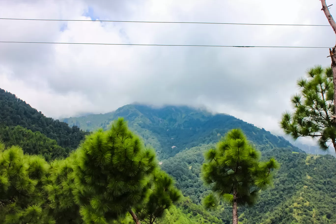Photo of Palampur By Abhinaw Chauhan