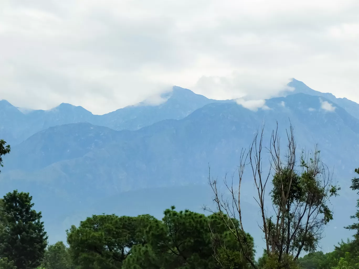 Photo of Palampur By Abhinaw Chauhan