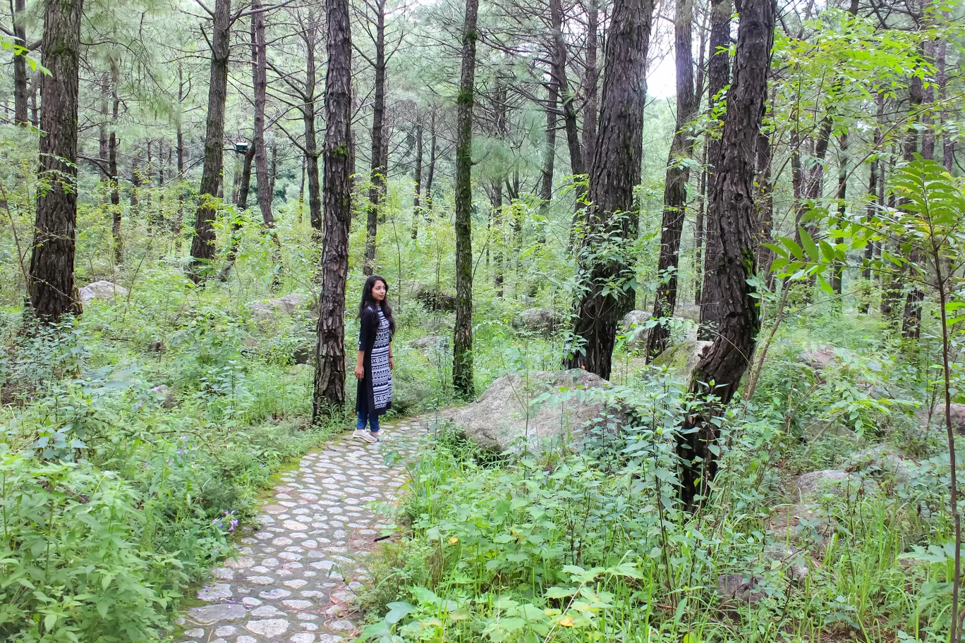 Photo of Palampur By Abhinaw Chauhan