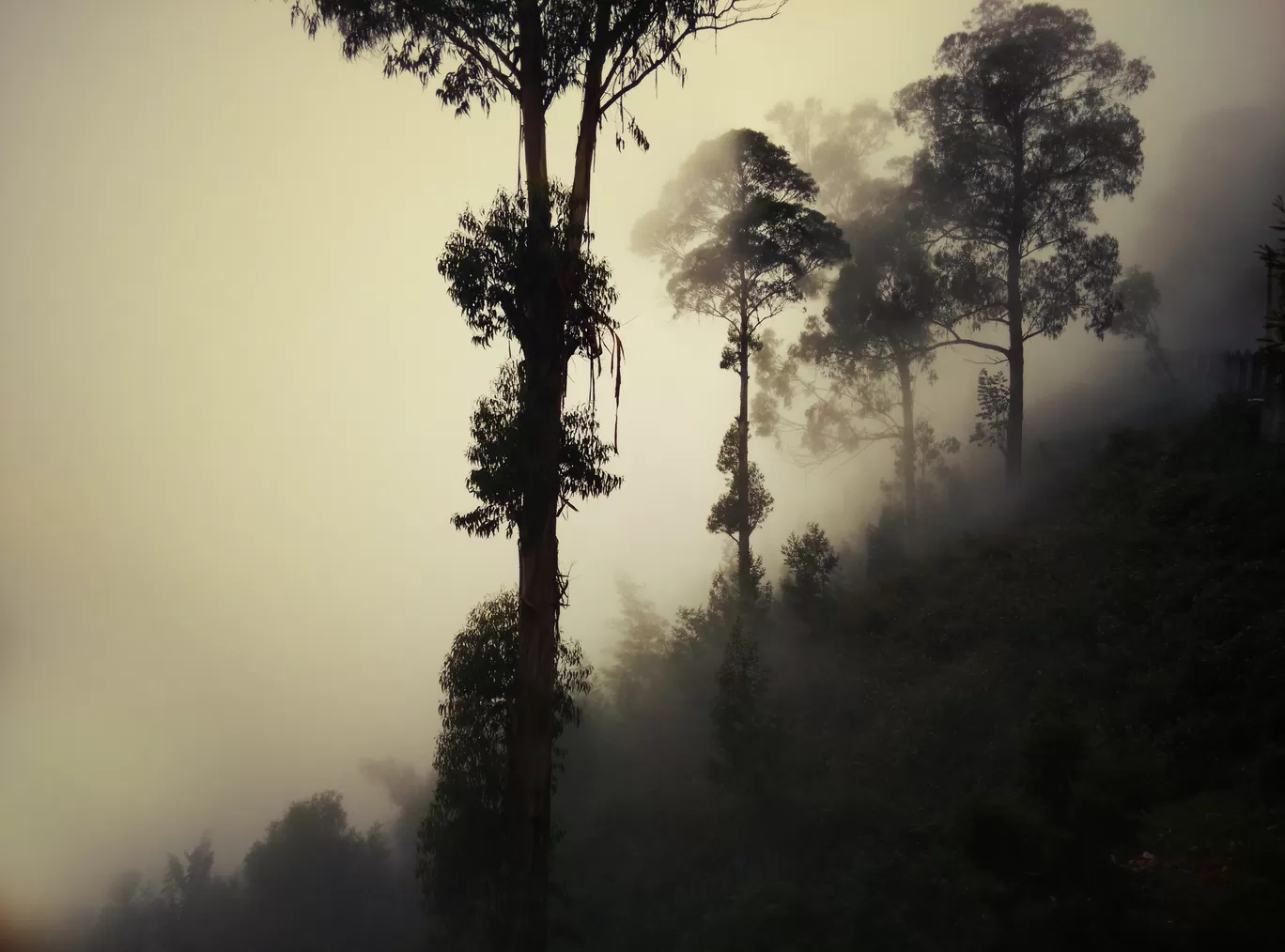 Photo of Kodaikanal By Soumya Khurana