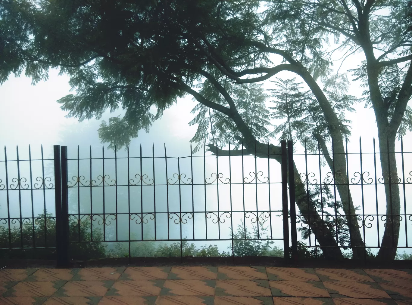 Photo of Kodaikanal By Soumya Khurana