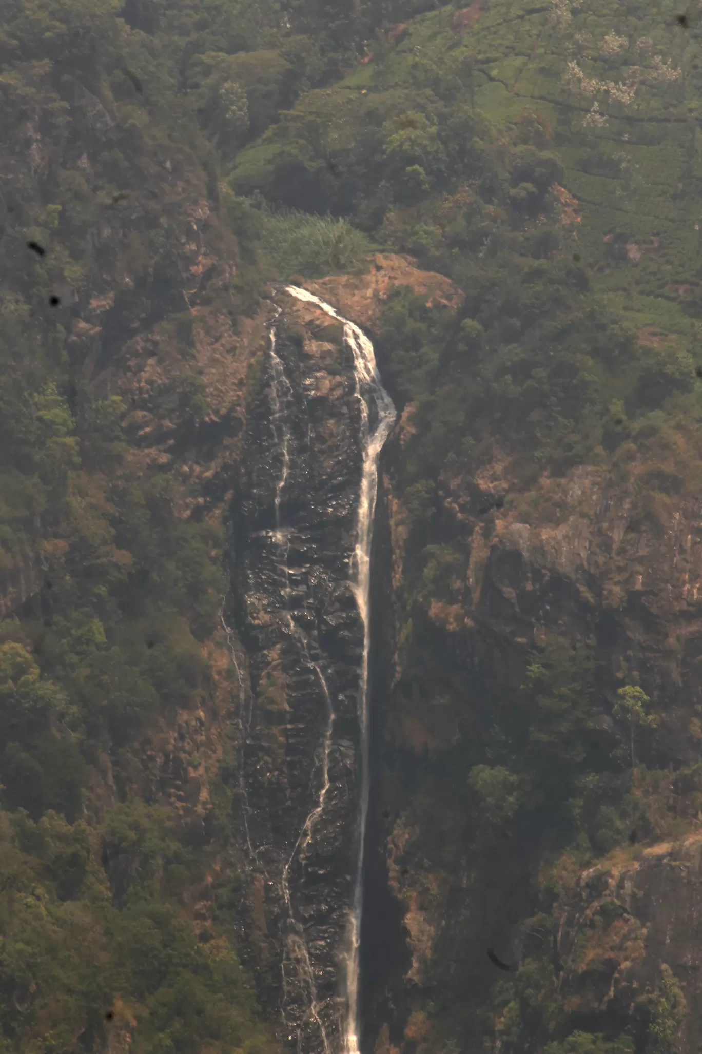 Photo of Coonoor By Soumya Khurana