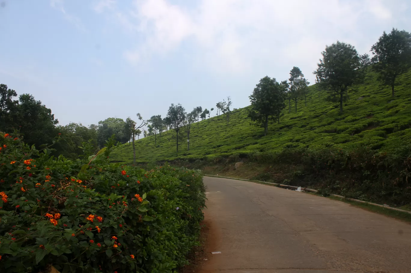 Photo of Coonoor By Soumya Khurana