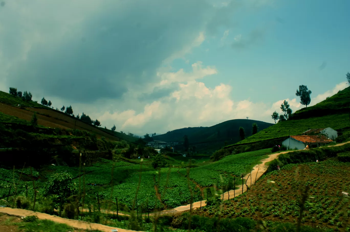 Photo of Coonoor By Soumya Khurana