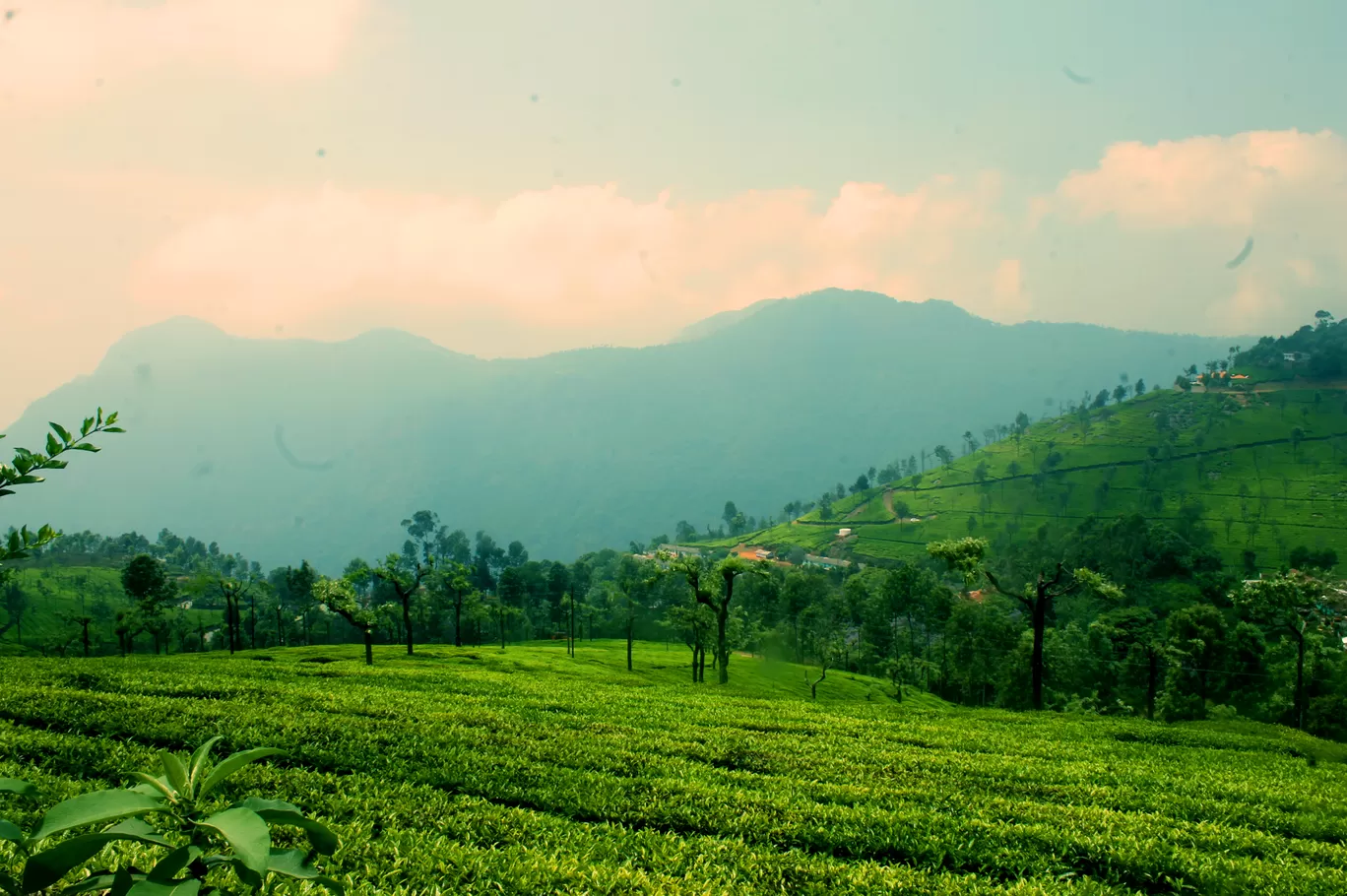 Photo of Coonoor By Soumya Khurana