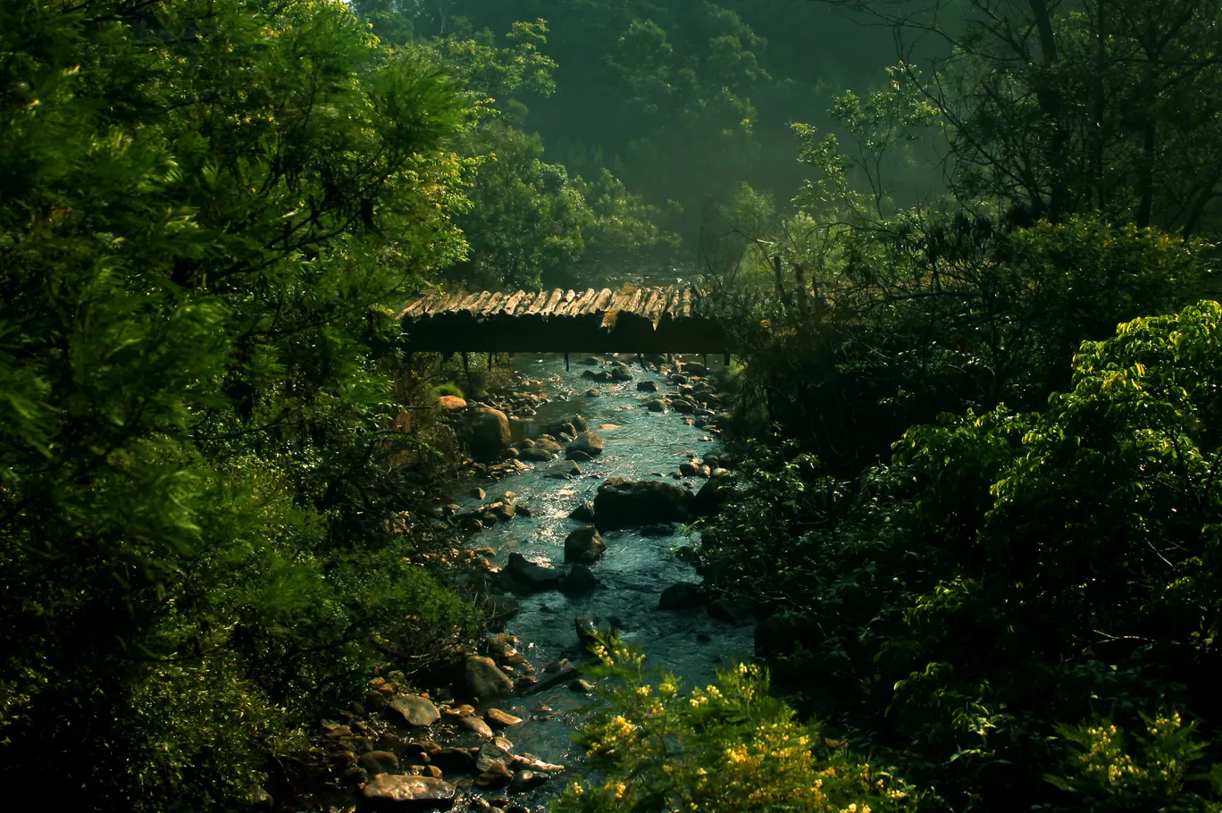 Photo of Upper Bhavani Lake View Point By Soumya Khurana