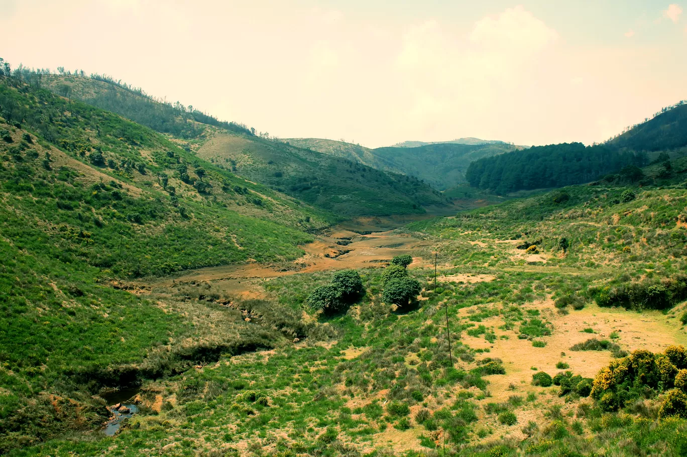 Photo of Upper Bhavani Lake View Point By Soumya Khurana