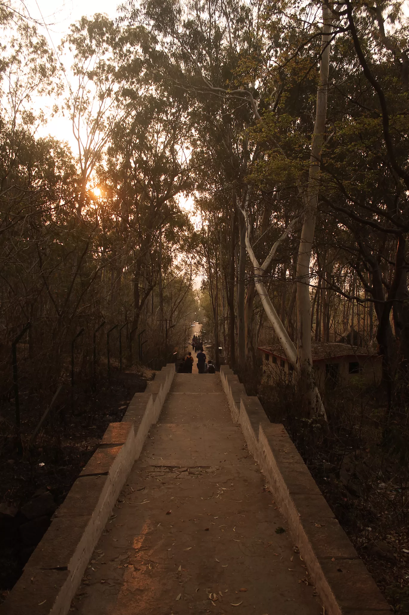 Photo of Antargange Cave Trek Point By Soumya Khurana