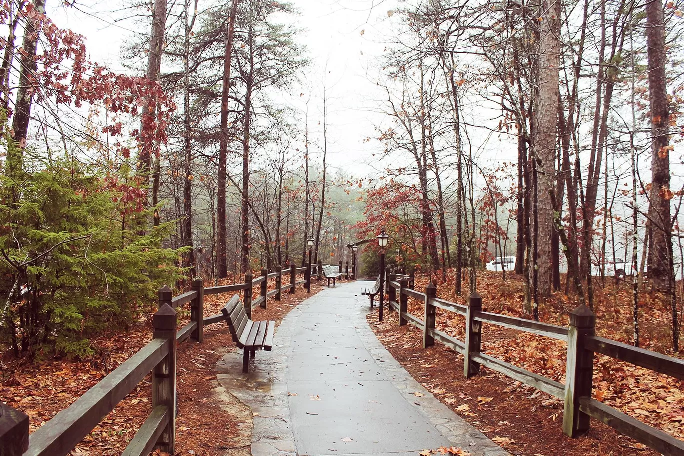 Photo of Smoky Mountain By Soumya Khurana