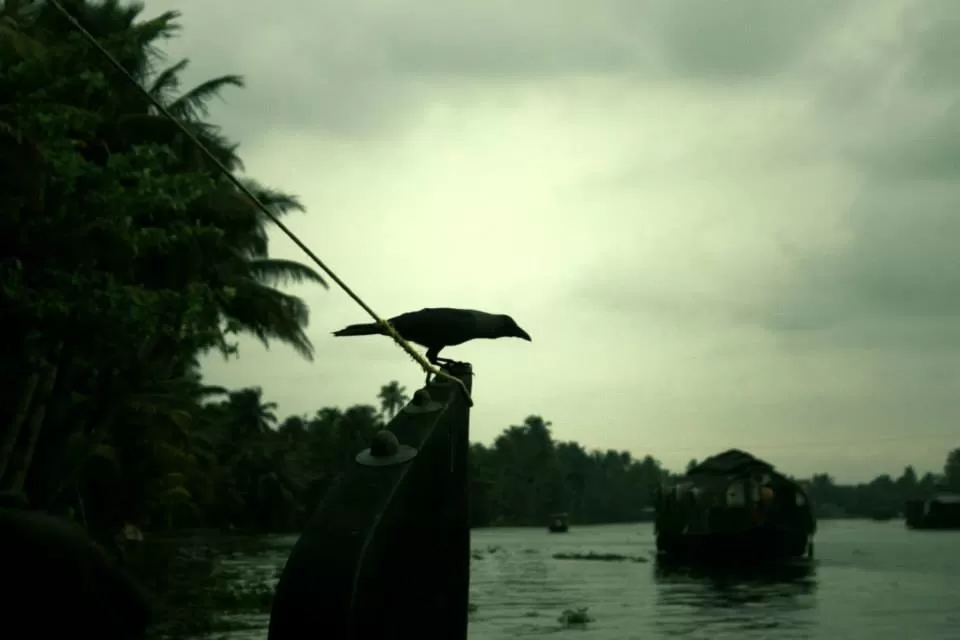 Photo of Kerala By Soumya Khurana