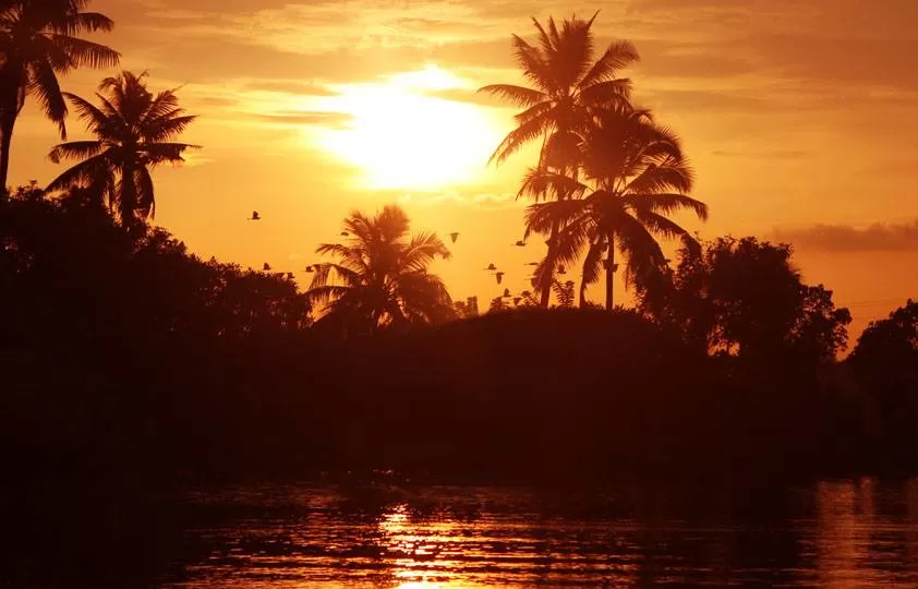 Photo of Kerala By Soumya Khurana