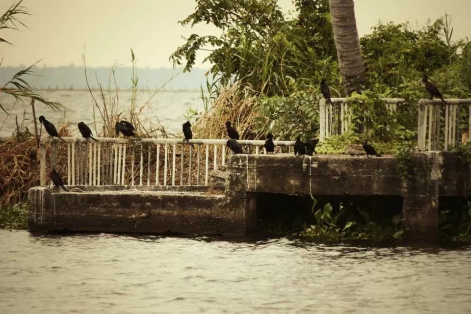 Photo of Kerala By Soumya Khurana