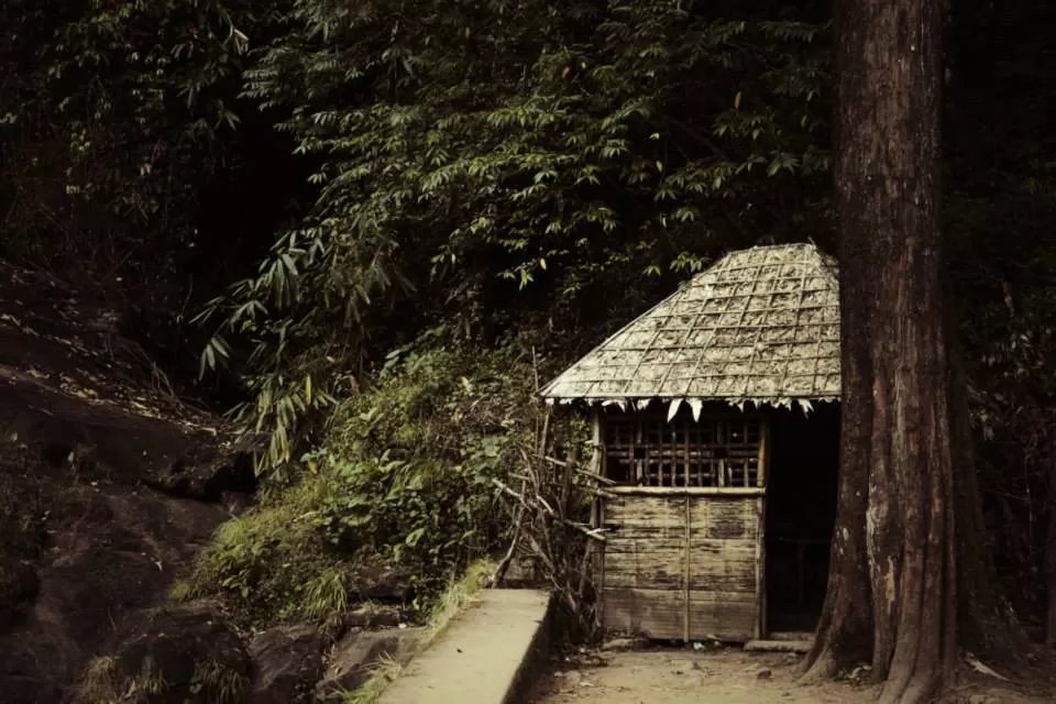 Photo of Kerala By Soumya Khurana