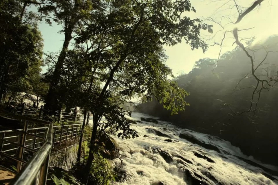 Photo of Kerala By Soumya Khurana