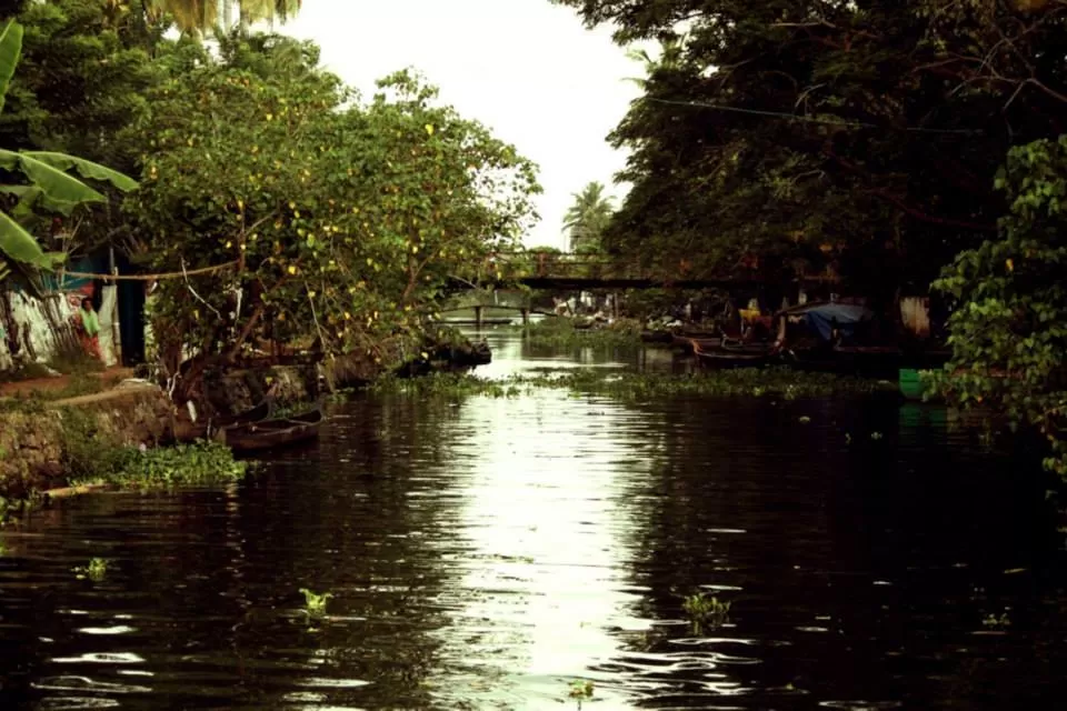 Photo of Kerala By Soumya Khurana