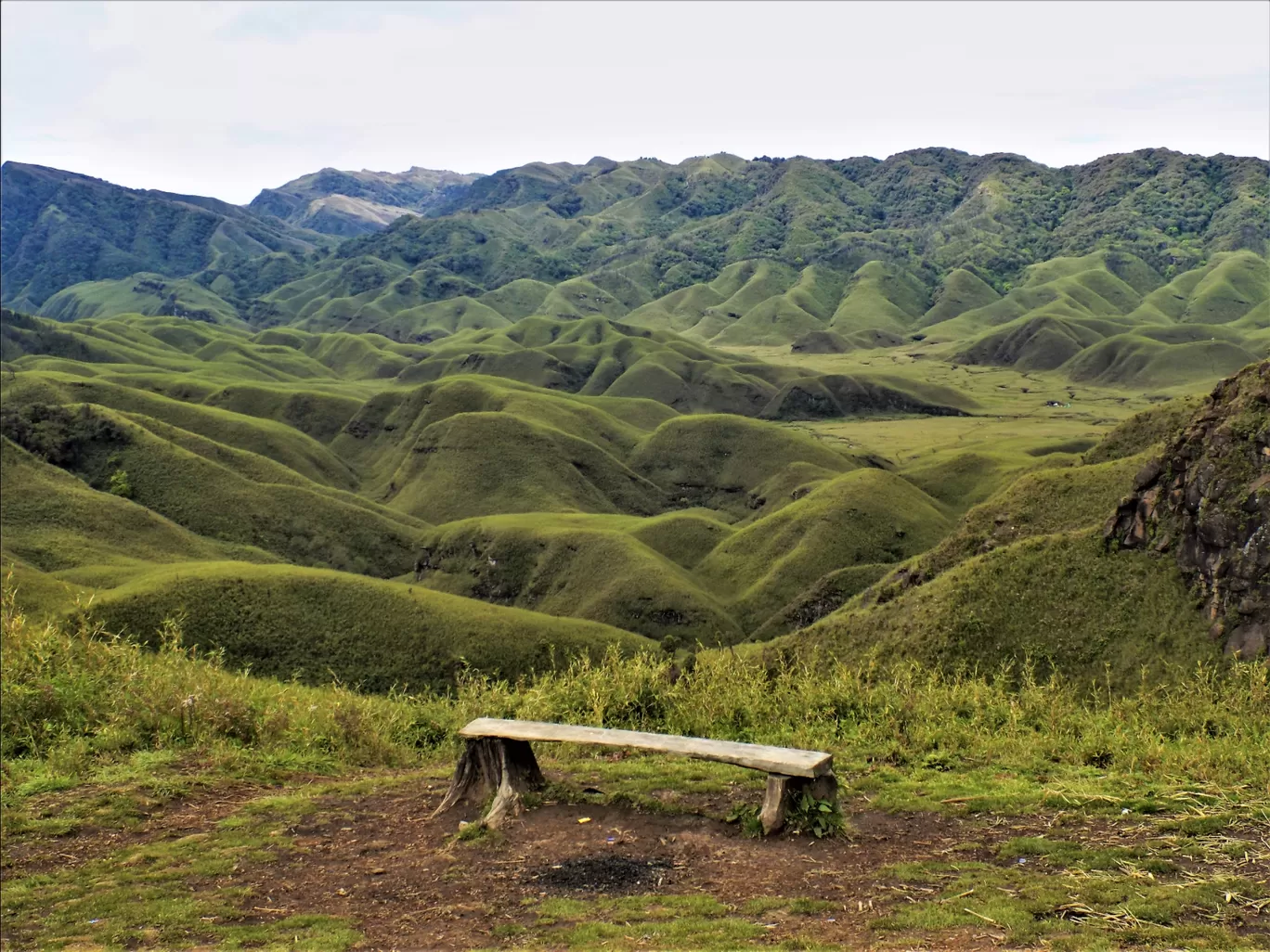 Photo of Dzükou Valley Trek By Pushan Bhattacharya