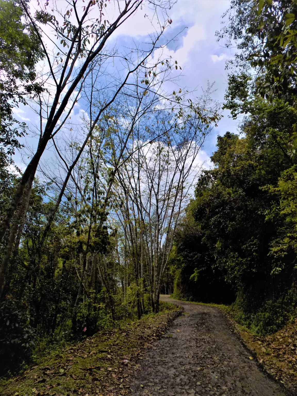 Photo of Dzükou Valley Trek By Pushan Bhattacharya