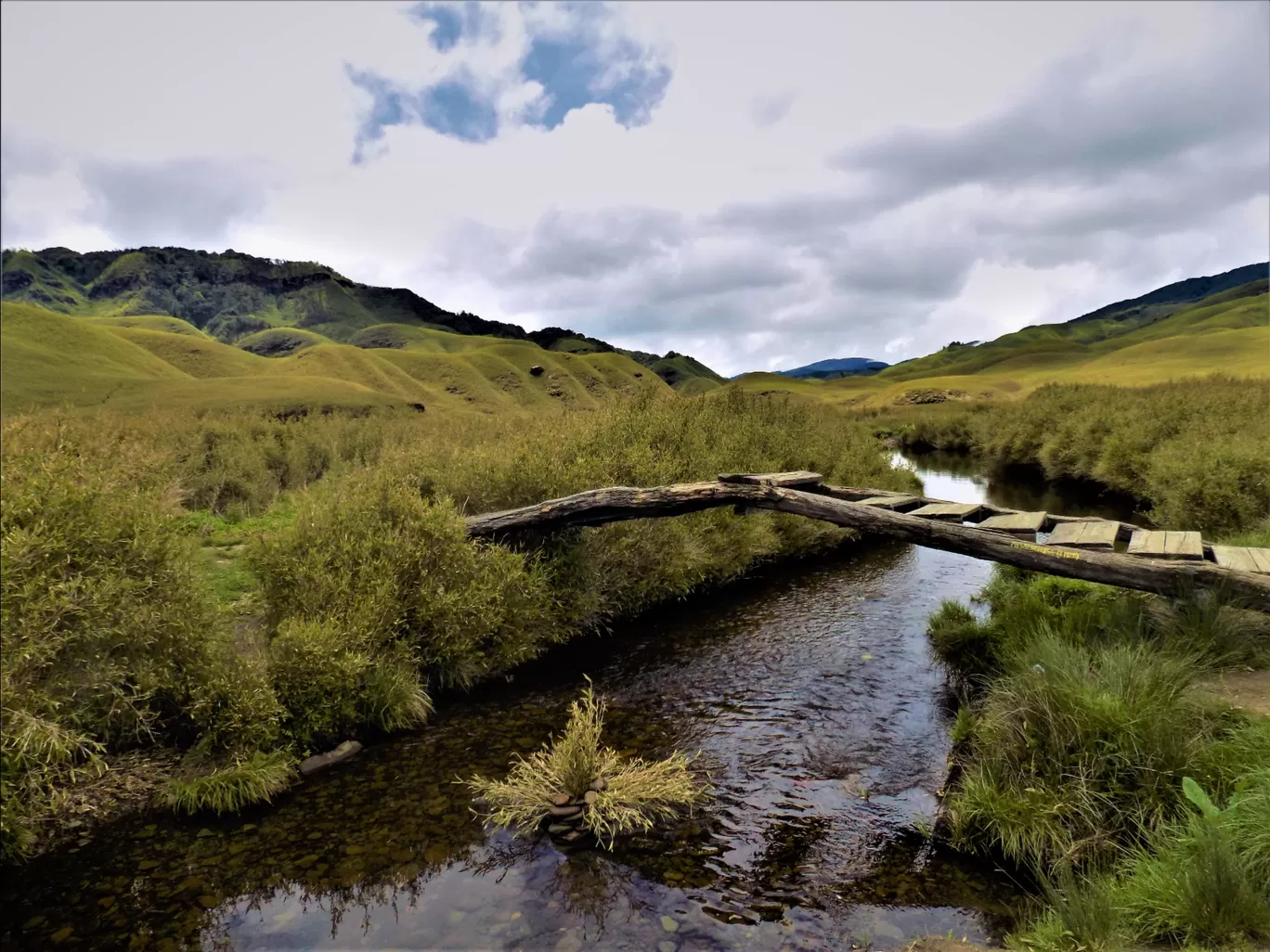 Photo of Dzükou Valley Trek By Pushan Bhattacharya