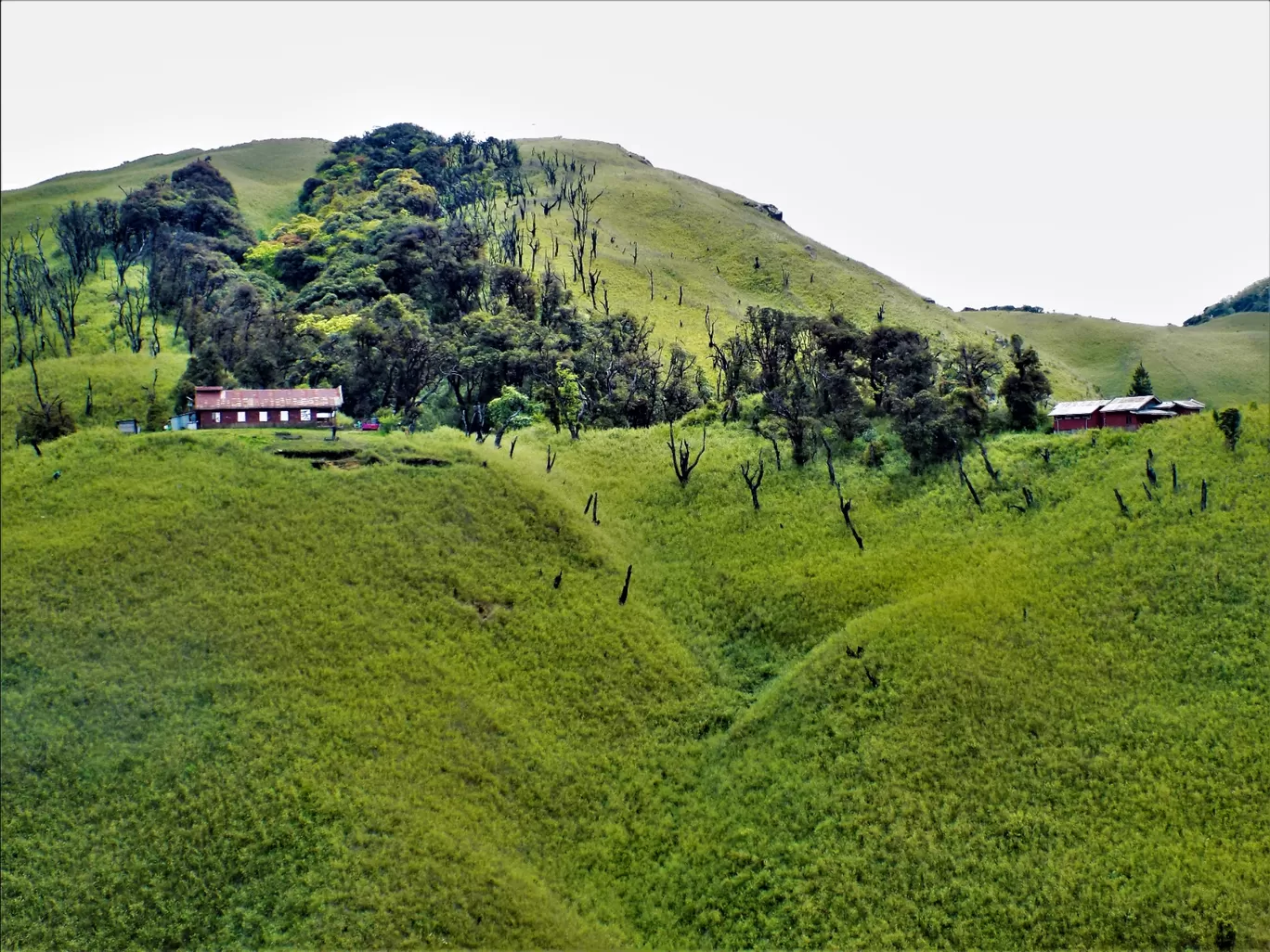 Photo of Dzükou Valley Trek By Pushan Bhattacharya