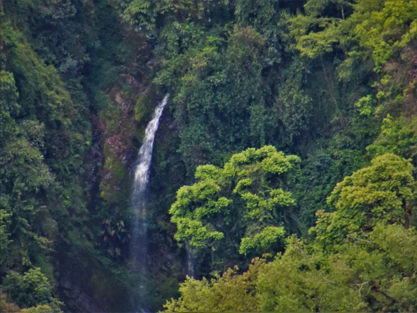 Photo of Dzükou Valley Trek By Pushan Bhattacharya