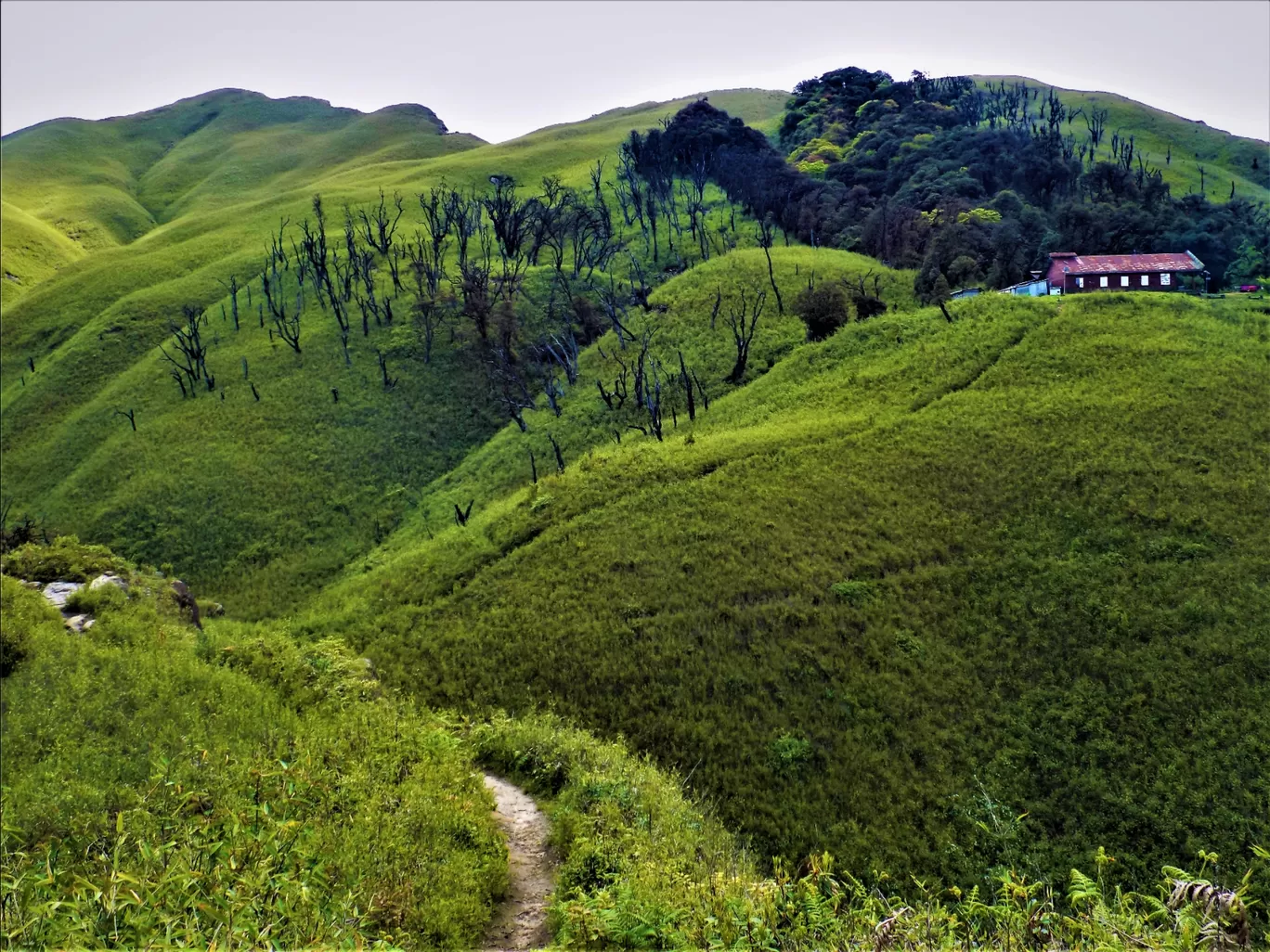 Photo of Dzükou Valley Trek By Pushan Bhattacharya