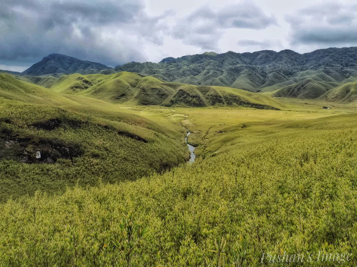 Photo of Dzükou Valley Trek By Pushan Bhattacharya