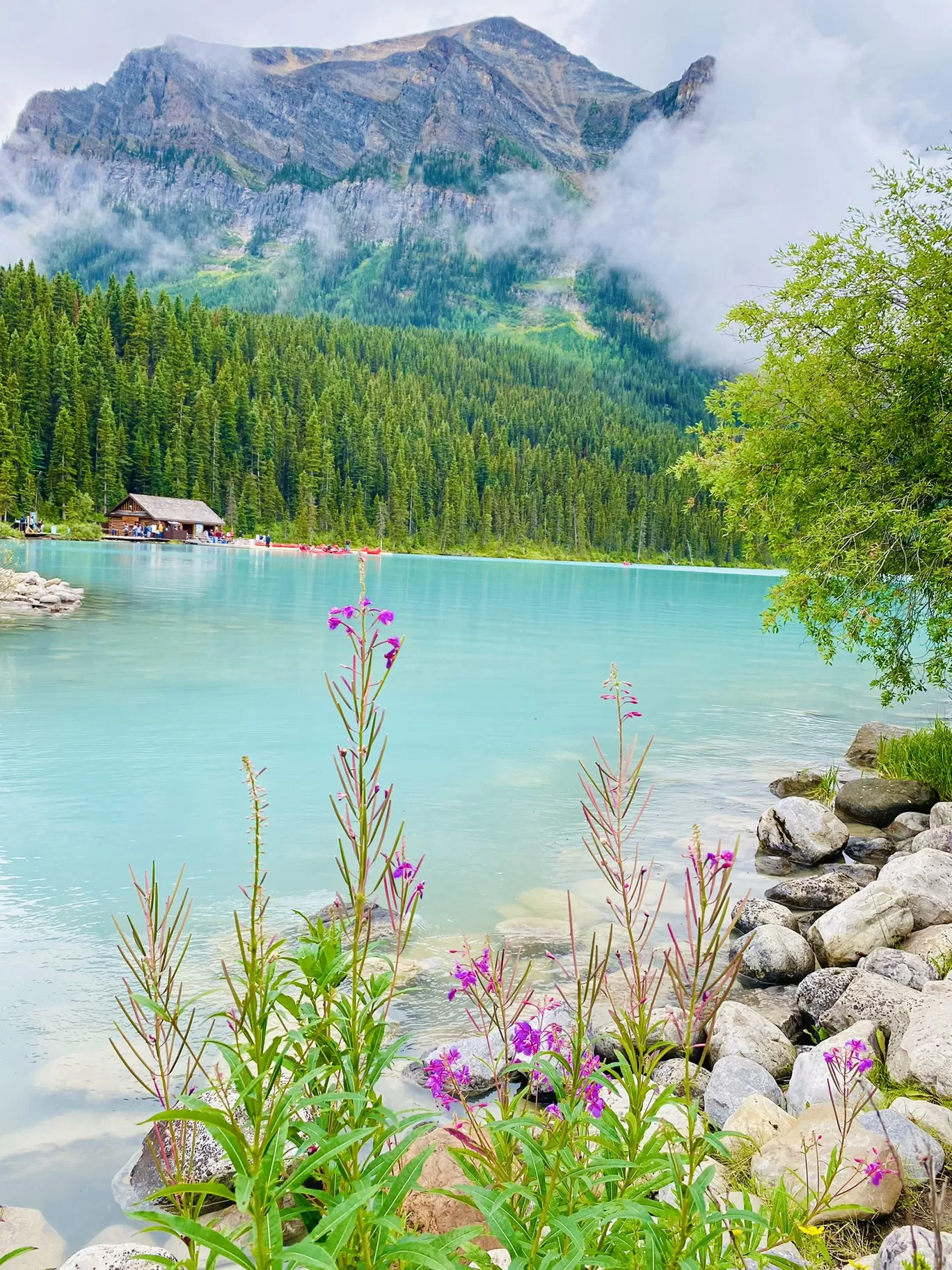 Photo of Alberta By Nandy