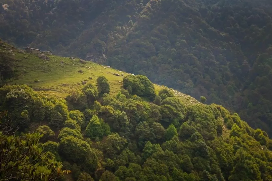 Photo of Triund By Divya Shirodkar