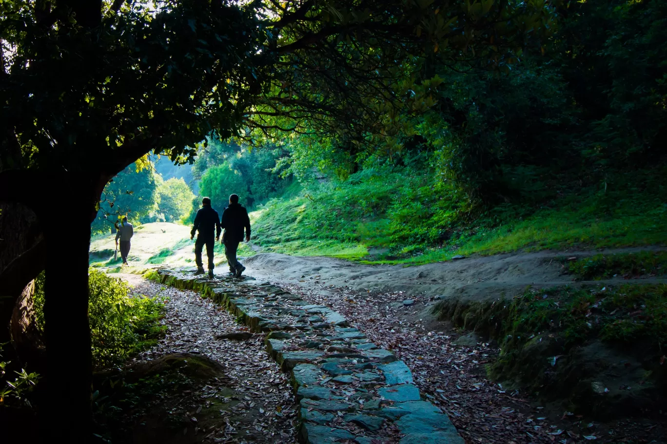 Photo of Chopta By Divya Shirodkar