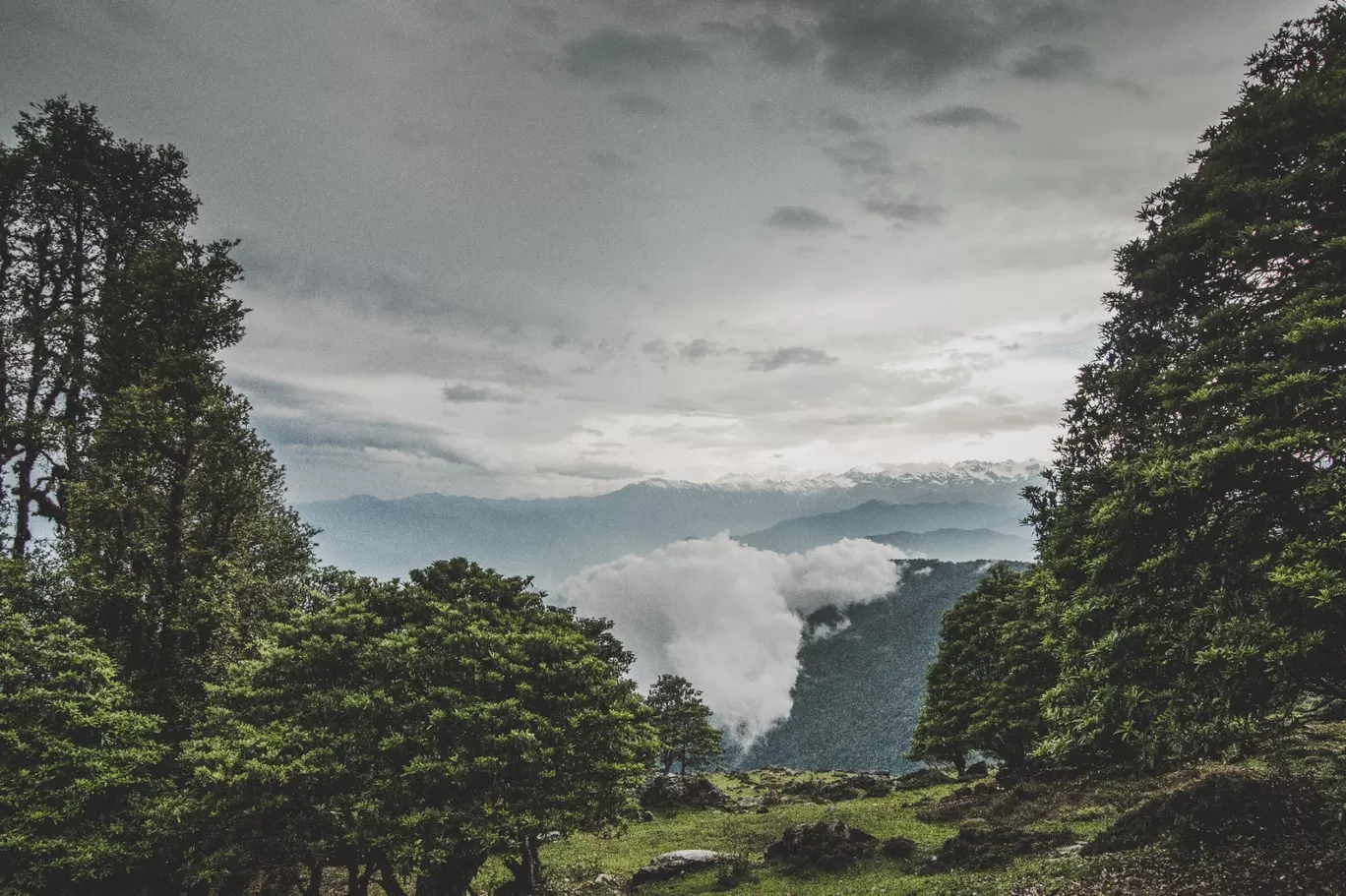 Photo of Chopta By Divya Shirodkar