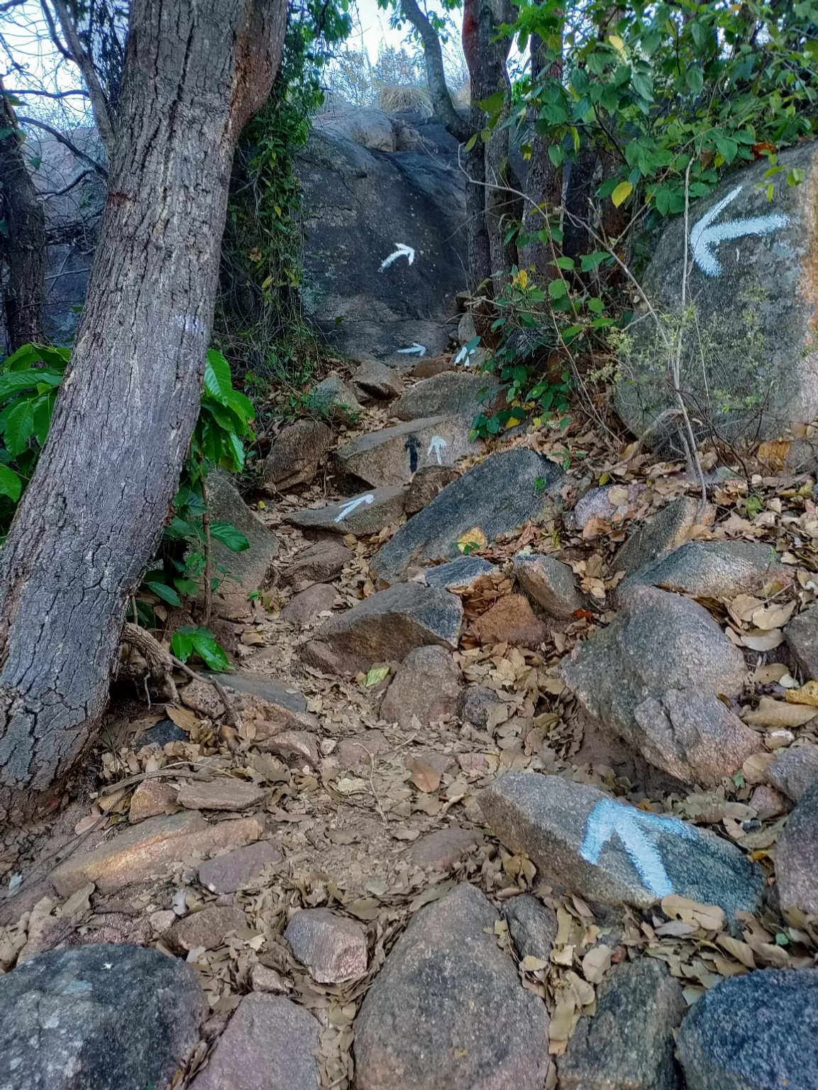 Photo of Makalidurga Hills By Divya Shirodkar