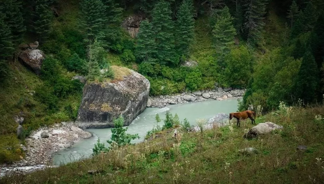 Photo of Kheerganga Trek By Divya Shirodkar