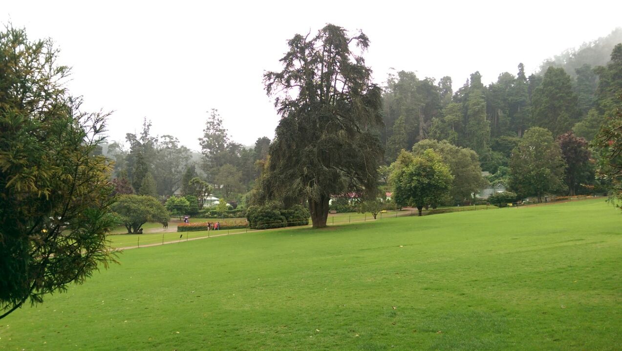 Photo of Chilling Ooty By Bhaskar Das