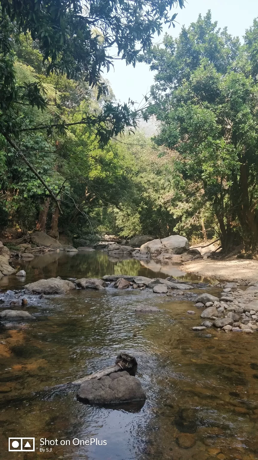 Photo of Thommankuthu Waterfalls By Swathy Joy